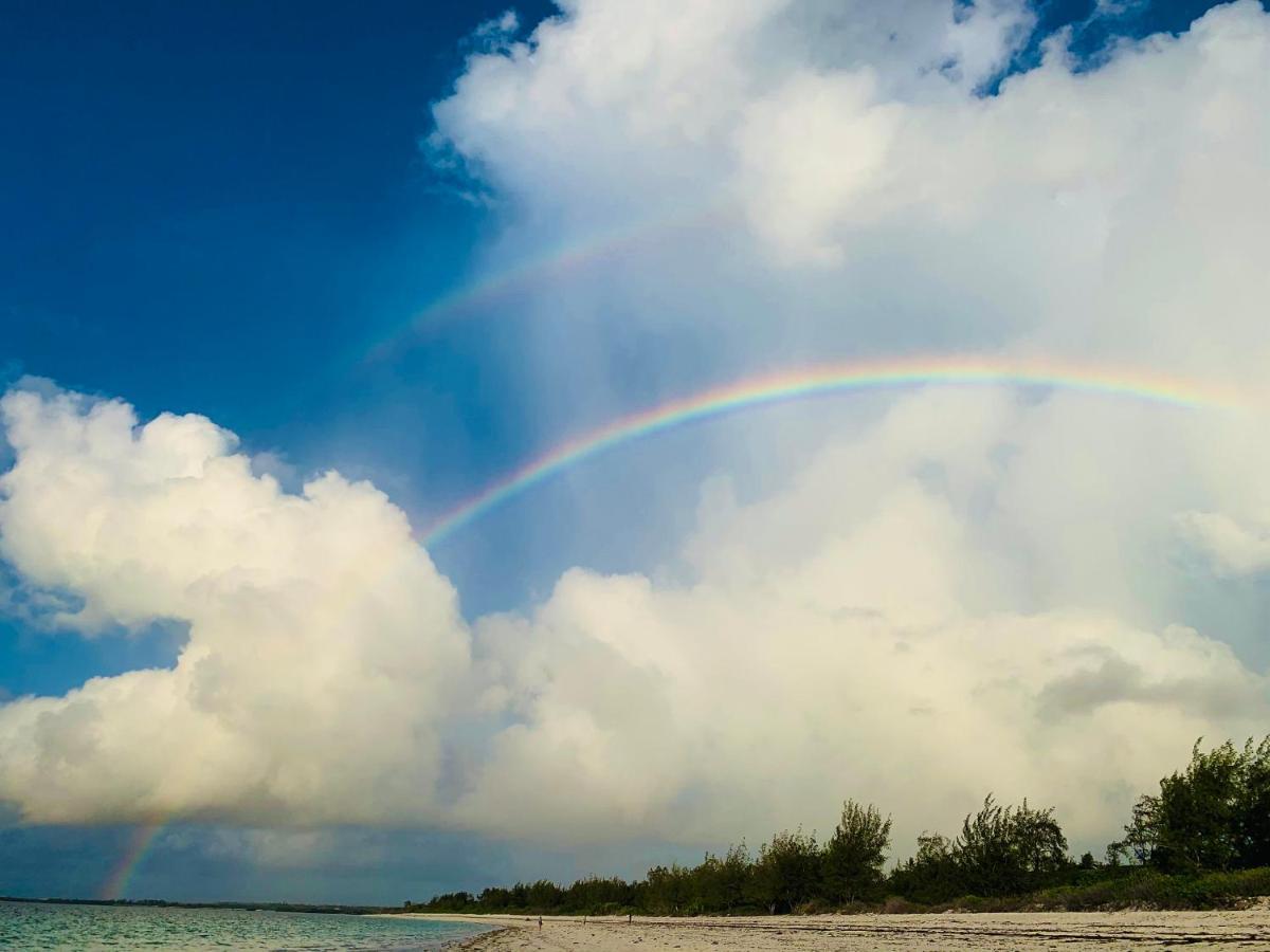 A Rocha Eco-Lodge & Conservation Centre Watamu Bagian luar foto