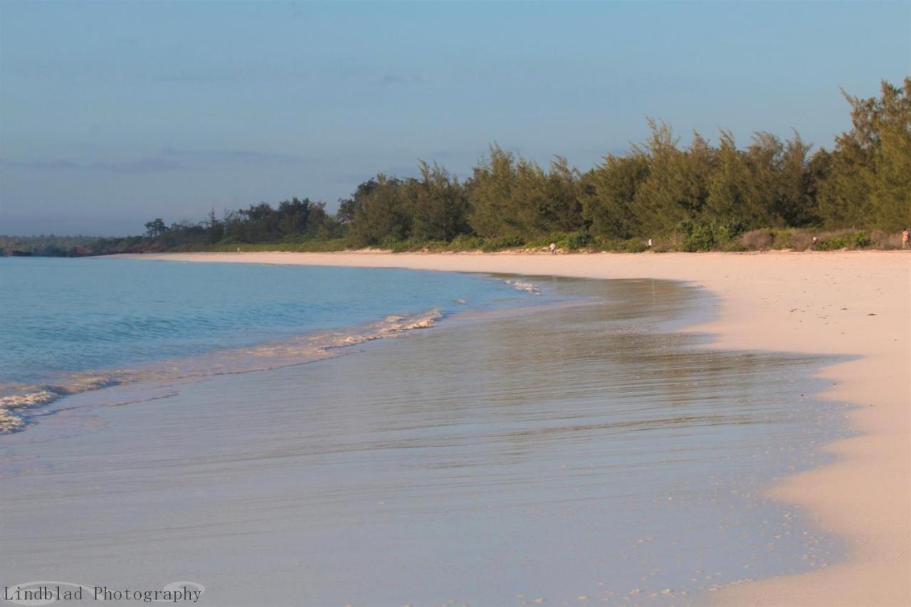 A Rocha Eco-Lodge & Conservation Centre Watamu Bagian luar foto